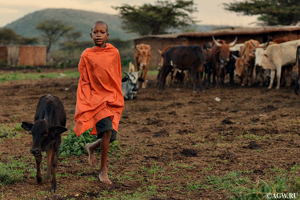 В деревне масаи