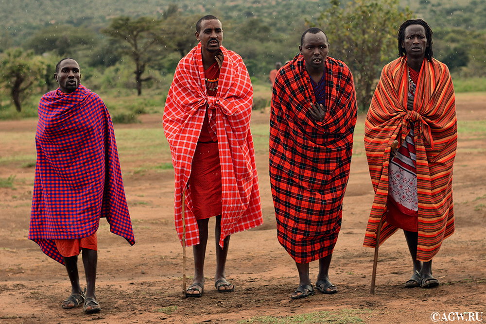 Танцы племени масаи под дождем